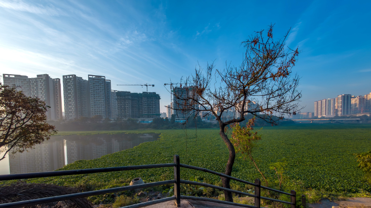 Hotspots Alongside Mula-Mutha River for Luxury Upcoming Properties